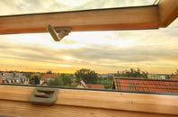 rated Broomfleet roof window companies
